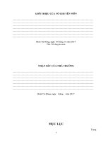 SKKN ứng dụng định lý vi ét giai toan THCS 