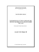 Giải pháp quản lý chất lượng dữ liệu thương mại điện tử của doanh nghiệp việt nam 