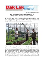 PHÁT TRIỂN NÔNG NGHIỆP CÔNG NGHỆ CAO TẠI
HUYỆN KRÔNG ANA: CẦN CÓ BƯỚC ĐỘT PHÁ