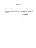 Giải pháp quản lý phát triển các làng nghề trên địa bàn huyện phú lương, tỉnh thái nguyên 