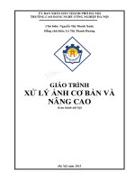 Giáo trình Xử lý ảnh cơ bản và nâng cao - Nguyễn Thị Thanh Xuân (Chủ biên)