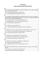 ĐỀ CƯƠNG MÔN CÁC NGÀNH CÔNG NGHIỆP VĂN HÓA