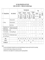 ma tran bang dac ta ki thuat va de minh hoa kiem tra giua ki 2 toan 11 