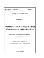 Tóm tắt Luận văn Thạc sĩ Luật Hiến pháp và Luật Hành chính: Pháp luật về an toàn thực phẩm tại Sở Công Thương Hà Nội