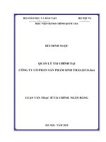Luận văn Thạc sĩ Tài chính Ngân hàng: Quản lý tài chính tại Công ty Cổ phần Sản phẩm sinh thái