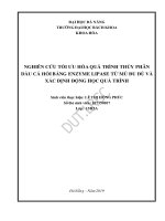 Nghiên cứu tối ưu hóa quá trình thủy phân dầu cá hồi bằng enzyme lipase từ mủ đu đủ và xác định động học quá trình 