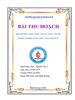 BỒI DƯỠNG THEO TIÊU CHUẨN CHỨC DANH NGHỀ NGHIỆP GIÁO VIÊN THCS HẠNG II