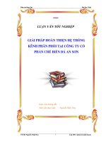 Luận văn : Giải pháp hoàn thiện hệ thống kênh phân phối tại công ty Cổ phần chế biến Đá An Sơn