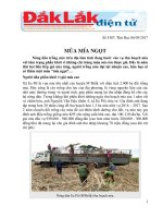 thu vien tinh daklak mùa mía ngọt