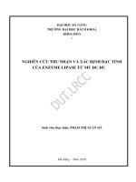 Nghiên cứu thu nhận và xác định đặc tính của enzyme lipase từ mủ đu đủ 