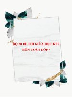 Bộ 30 đề thi giữa HK2 môn Toán lớp 7