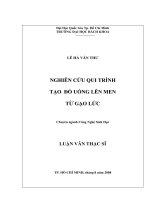 Nghiên cứu quy trình tạo đồ uống lên men từ gạo lức 