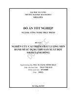 Nghiên cứu cải thiện chất lượng men bánh mì sử dụng cho sản xuất bột nhào lạnh đông 