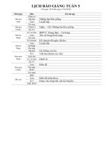 Giáo án Tuần 5 - Lớp 4