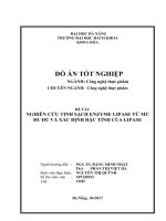 Nghiên cứu tinh sạch enzyme lipase từ mủ đu đủ và xác định đặc tính của lipase 
