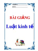 Bài giảng kinh tế : Những vấn đề lý luận cơ bản về luật kinh tế ở Việt Nam