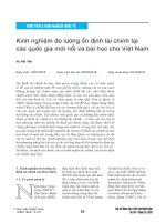 Kinh nghiệm đo lường ổn định tài chính tại các quốc gia mới nổi và bài học cho Việt Nam