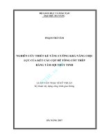 NGHIÊN CỨU THIẾT KẾ TĂNG CƯỜNG KHẢ NĂNG CHỊU LỰC CỦA KẾT CẤU CỘT BÊ TÔNG CỐT THÉP  BẰNG TẤM SỢI THỦY TINH. LUẬN VĂN THẠC SỸ KỸ THUẬT