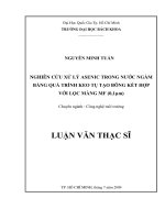 Nghiên cứu xử lý asenic trong nước ngầm bằng quá trình keo tụ tạo bông kết hợp với lọc màng MF (0 1um) 