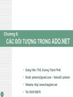Bài giảng Lập trình trên môi trường Window, Lập trình trên môi trường Window, Kỹ thuật lập trình, Crystal report, Thiết kế báo cáo
