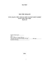 BÀI THU HOẠCH BỒI DƯỠNG TIÊU CHUẨN CHỨC DANH NGHỀ NGHIỆP GIÁO VIÊN TIỂU HỌC  HẠNG II