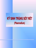 KÝ SINH TRÙNG sốt rét (plasmodium) (ký SINH TRÙNG) (chữ biến dạng do slide dùng font VNI times, tải về xem bình thường) 