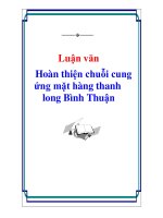 Luận văn : Hoàn thiện chuỗi cung ứng mặt hàng thanh long Bình Thuận