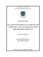 Đào tạo nguồn nhân lực ngành du lịch tỉnh bà rịa vũng tàu trong giai đoạn hội nhập kinh tế quốc tế 
