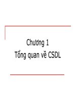 Bài giảng Cơ sở dữ liệu - Chương 1: Tổng quan CSDL