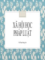 Slide bài giảng  Xã hội học pháp luật