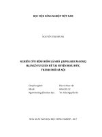 Nghiên cứu bệnh đốm lá nhỏ (bipolaris maydis) hại ngô vụ xuân hè tại huyện hoài đức, thành phố hà nội   