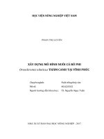 Xây dựng mô hình nuôi cá rô phi oreochromis niloticus thâm canh tại vĩnh phúc   