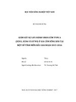 Giám sát sự lưu hành virus cúm type a (h5n1, h5n6 và h7n9) ở gia cầm sống bán tại một số tỉnh miền bắc giai đoạn 2015   2016   