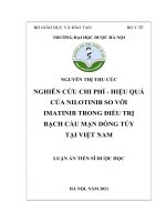 Nghiên cứu chi phí   hiệu quả của nilotinib so với imatinib trong điều trị bạch cầu mạn dòng tủy tại việt nam 