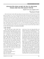 Căn nguyên virus và một số yếu tố liên quan trong viêm tiểu phế quản ở trẻ em