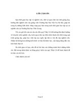 CƠ SỞ KHOA HỌC VÀ THỰC TRẠNG VỀ CHẤT LƯỢNG CÔNG CHỨC TẠI ỦY BAN NHÂN DÂN XÃ TAM HIỆP, TỈNH TIỀN GIANG