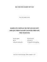 Nghiên cứu chuỗi giá trị thịt lợn sản xuất theo quy trình vietgahp tại huyện triệu sơn, tỉnh thanh hóa   