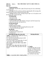 tiết 15  gd công dân 6  nguyễn văn quân  thư viện giáo dục tỉnh quảng trị