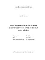 Nghiên cứu bệnh đạo ôn hại lúa xuân năm 2016 ở vùng chương mỹ   hà nội và biện pháp phòng trừ bệnh   