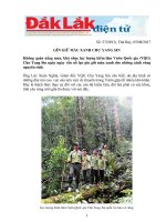 GÌN GIỮ MÀU XANH CHƯ YANG SIN