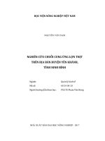 Nghiên cứu chuỗi giá trị cung ứng lợn thịt trên địa bàn huyện yên khánh, tỉnh ninh bình   