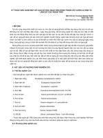 Kỹ thuật bảo quản một số loại gỗ keo, bạch đàn dùng trong xây dựng cơ bản và làm cột cọc ngoài trời - Thư Viện Số - Thông tin Khoa học và Công nghệ