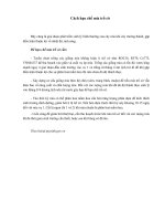 Cách hạn chế mía trổ cờ - Thư Viện Số - Thông tin Khoa học và Công nghệ