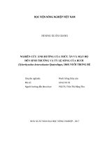 Nghiên cứu ảnh hưởng của thức ăn và mật độ đến sinh trưởng và tỷ lệ sống của rươi (tylorrhynchus heterochaetus quatrefages, 1865) nuôi trong bể   