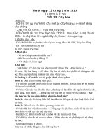 bài 23 cây hoa  tự nhiên và xã hội 1  trần thị hòa  thư viện giáo án điện tử