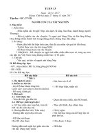 Giáo án Tuần 13 - Lớp 3