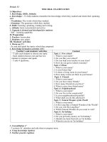 Review 2 . (4-5-6). Lesson 1. Language