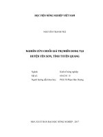 Nghiên cứu chuỗi giá trị miến dong tại huyện yên sơn, tỉnh tuyên quang   