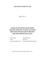 Nghiên cứu ảnh hưởng của sắt trong dung dịch trồng rau cải, mùng tơi gây nên hiện tượng mất màu xanh và biện pháp khắc phục bằng bổ sung fe edta   