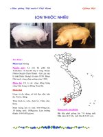 bai the duc lop 8  thể dục 8  trần anh mạnh  thư viện tư liệu giáo dục